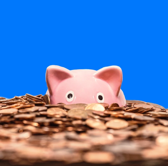 piggy bank
